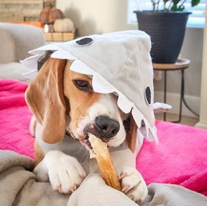 Meet your Posher, Cara